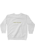 Load image into Gallery viewer, camp conscious - for dyslexic awareness - unisex kids fleece sweatshirt
